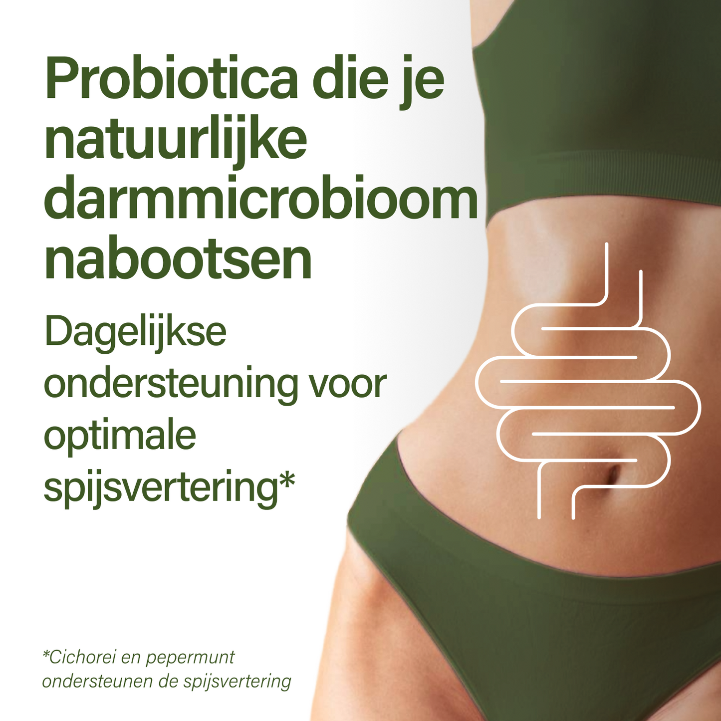 probaflor plus