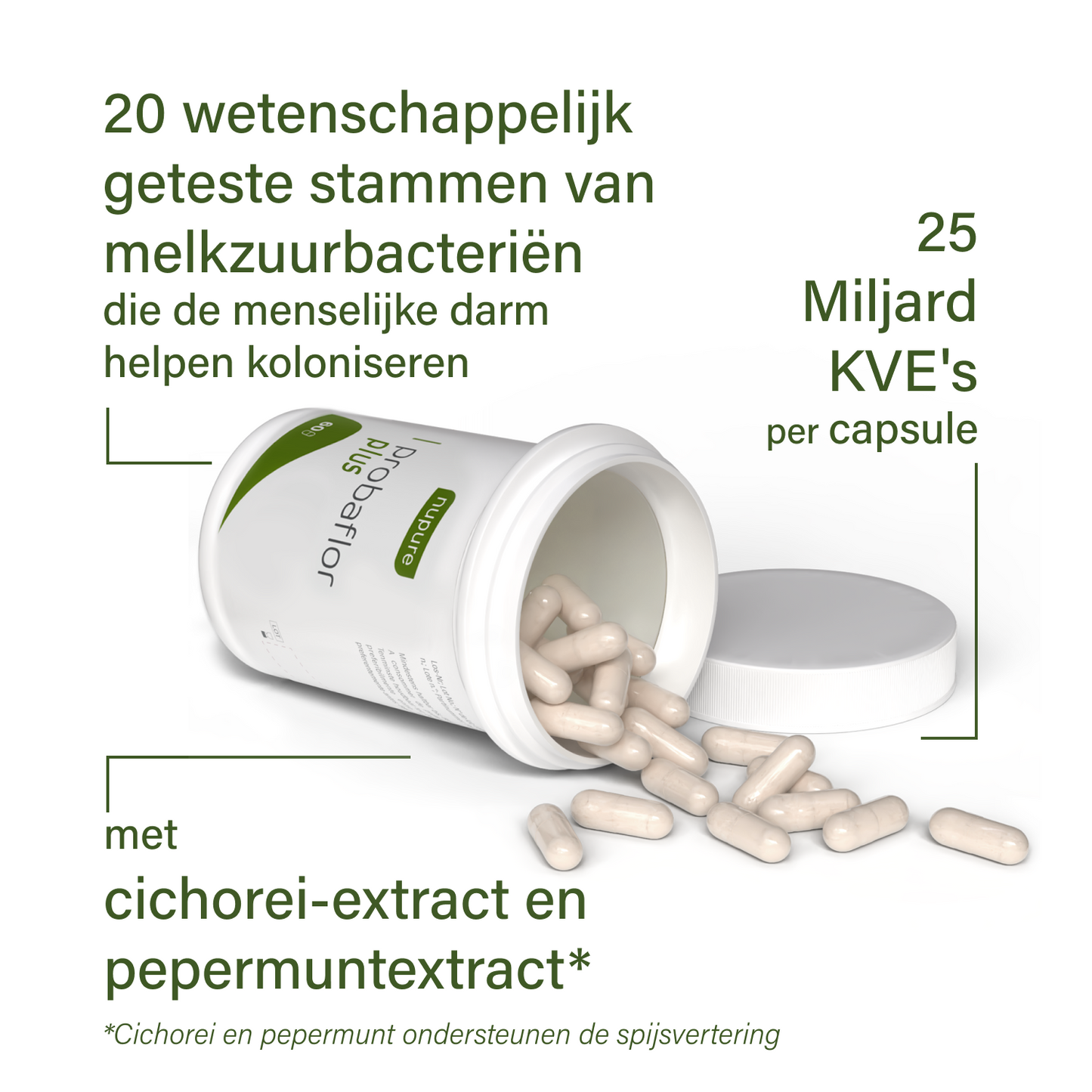 probaflor plus