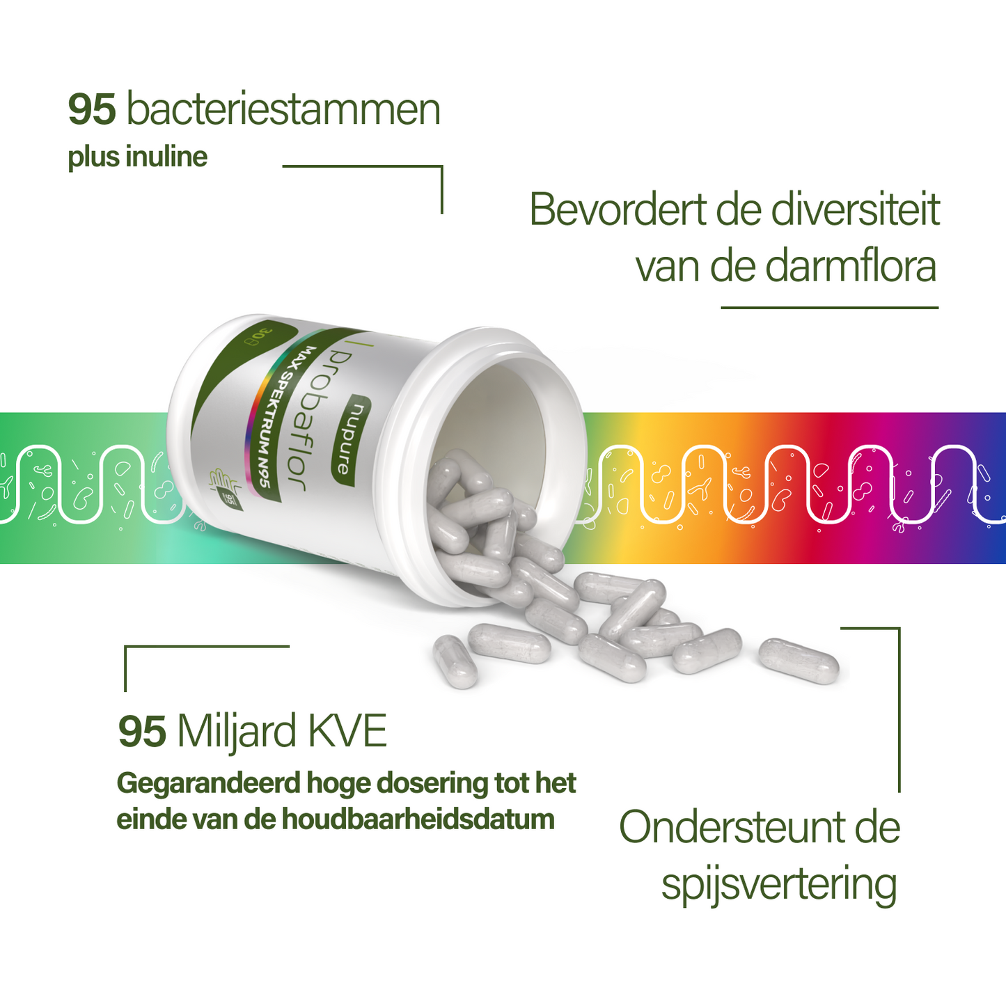 probaflor MAX SPEKTRUM N95