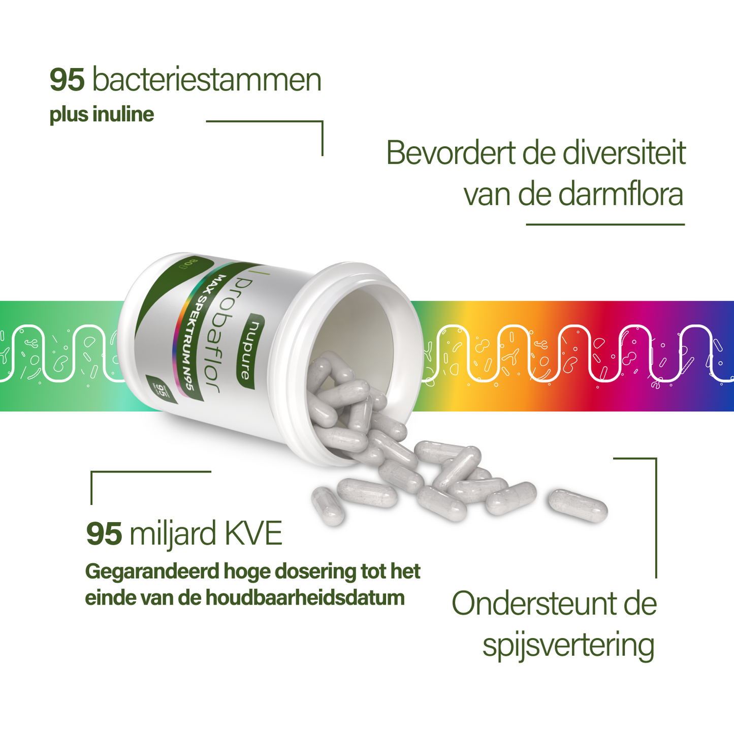 probaflor MAX SPEKTRUM N95