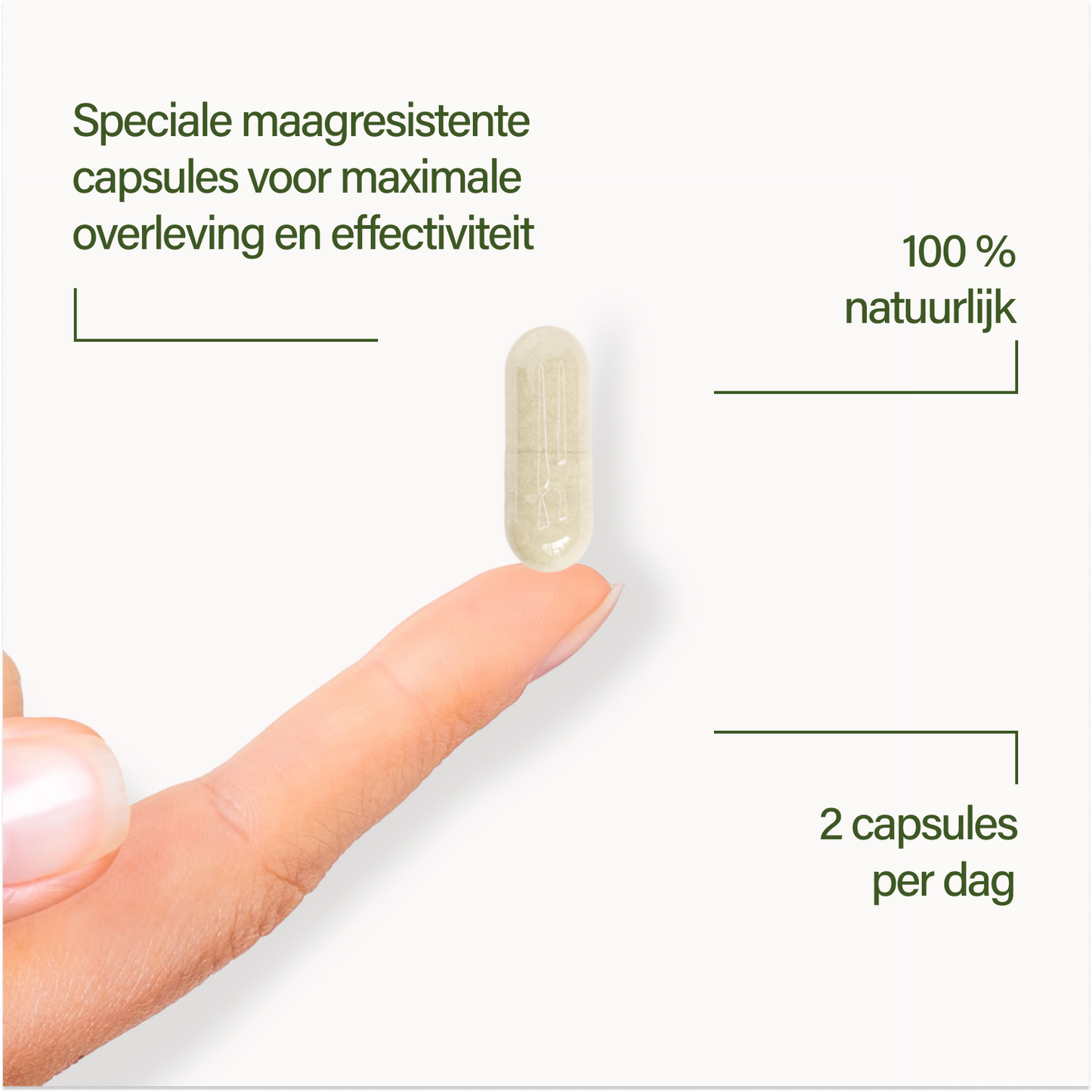 probaflor MAX SPEKTRUM N95
