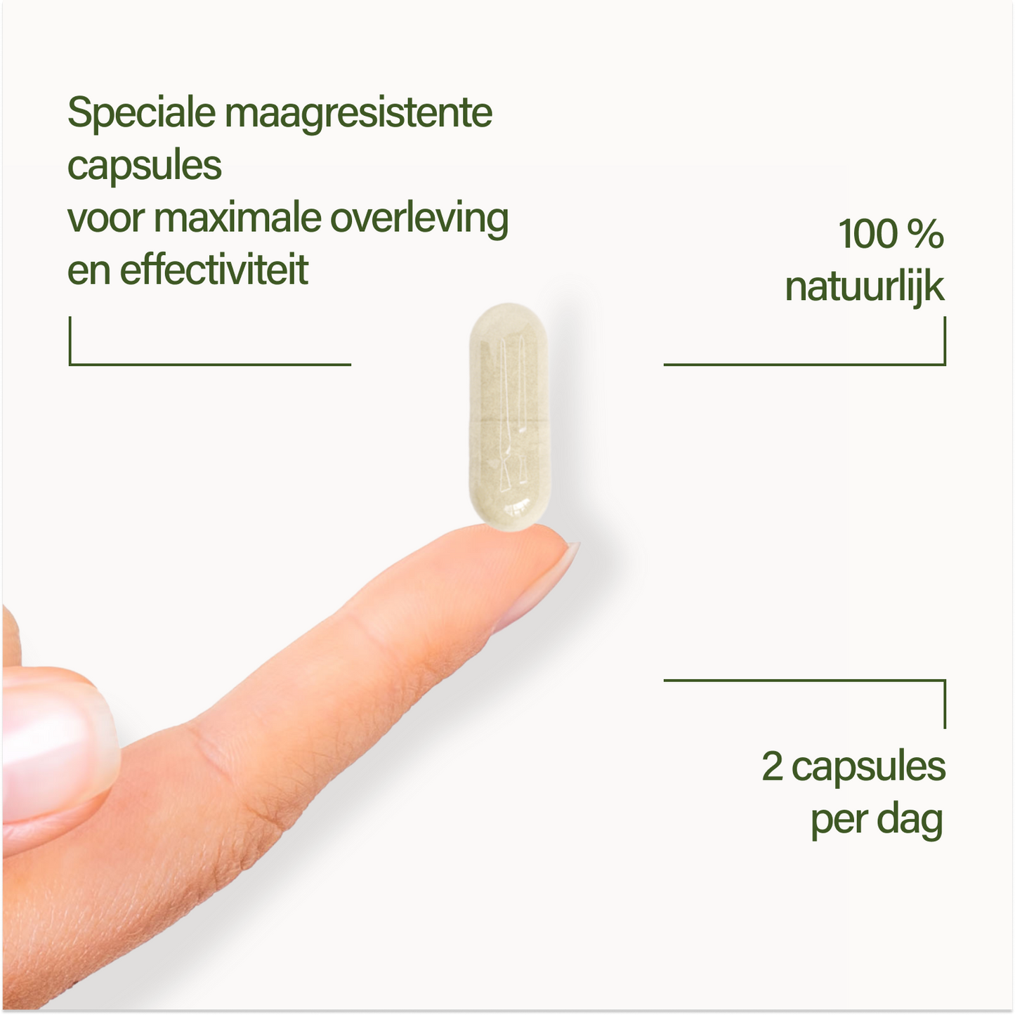 probaflor MAX SPEKTRUM N95