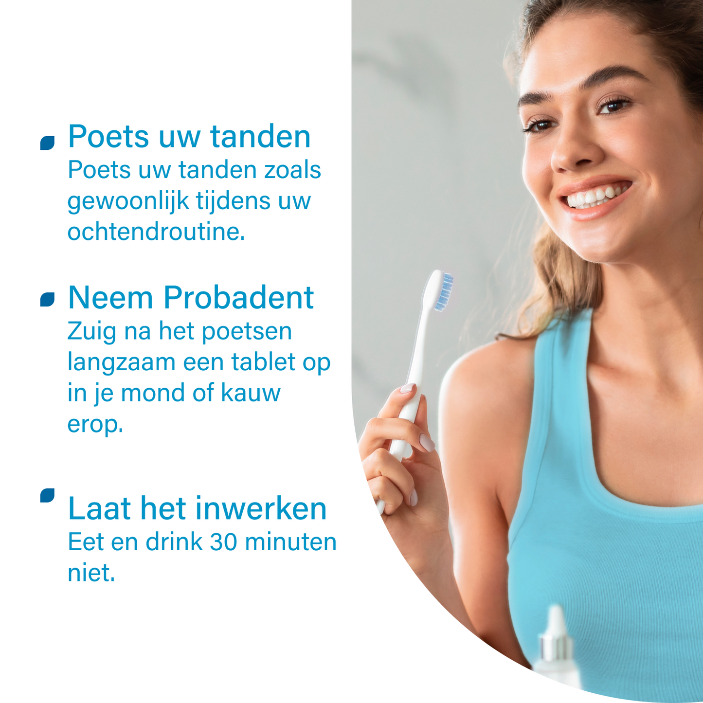 probadent 90 NL