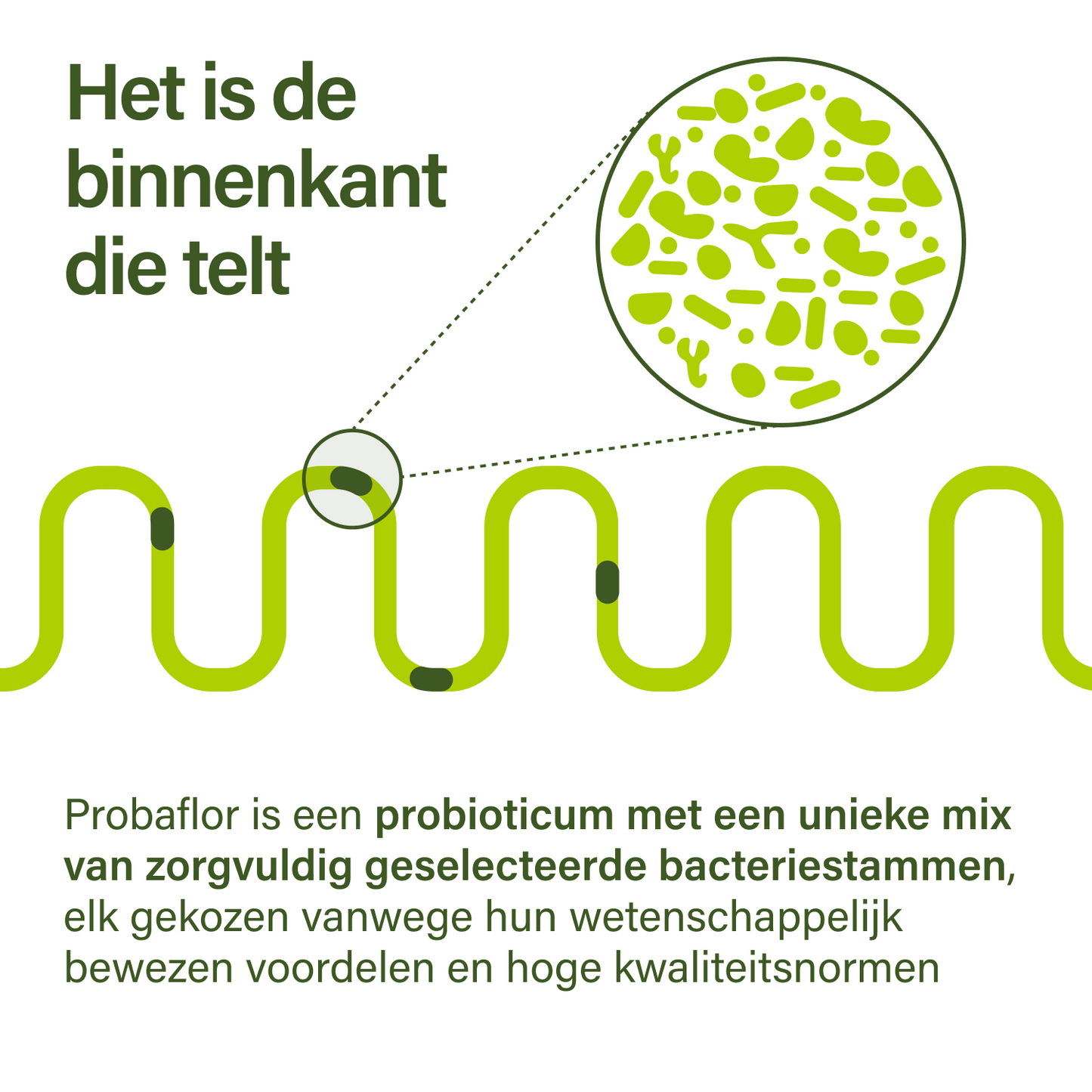 probaflor