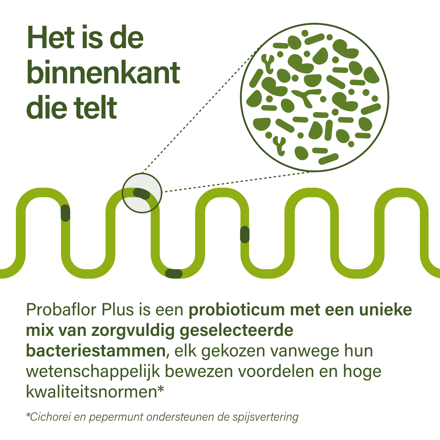 probaflor plus