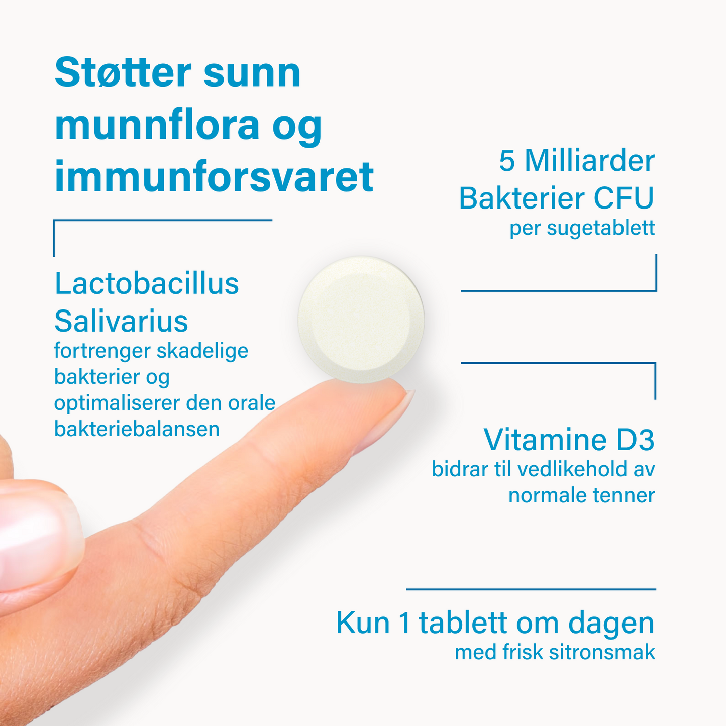 probadent 90 NL