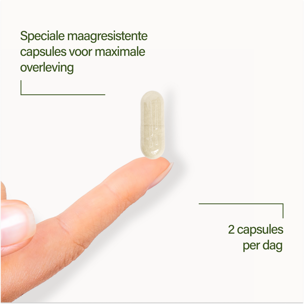 probaflor MAX SPEKTRUM N95