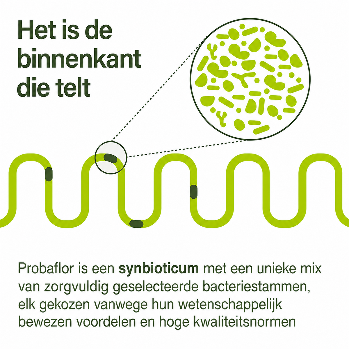 probaflor