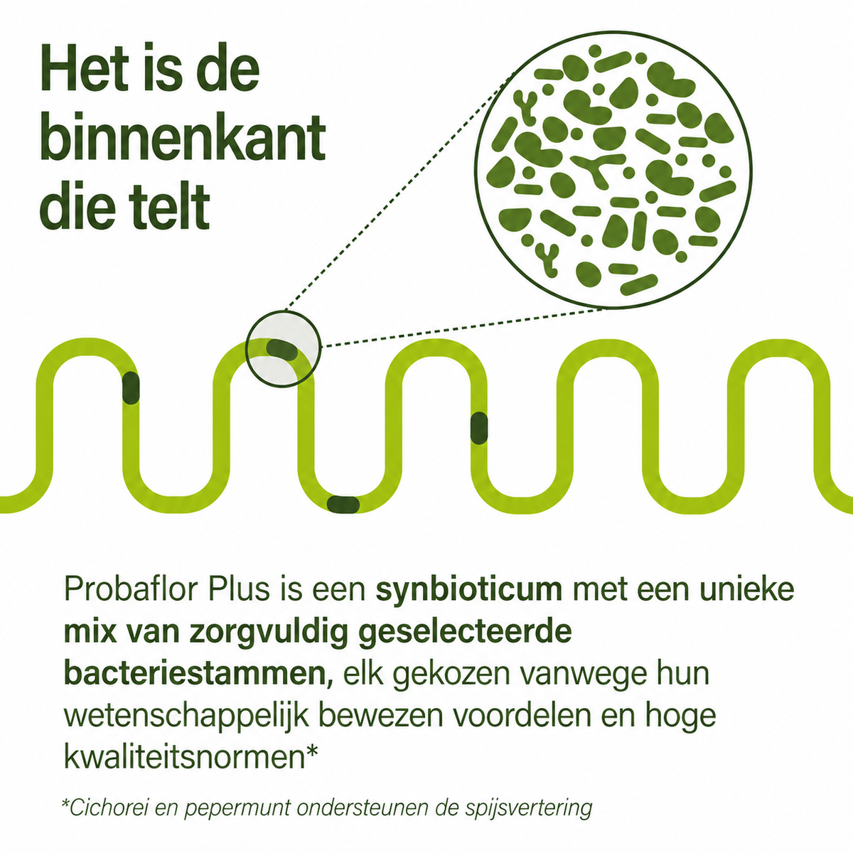 probaflor plus